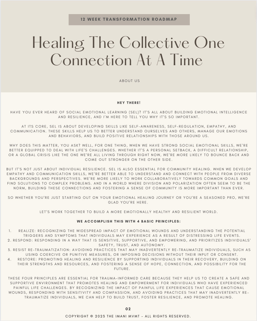 THE RESILIENCE MVMT : Connection Circle 12 Week Program