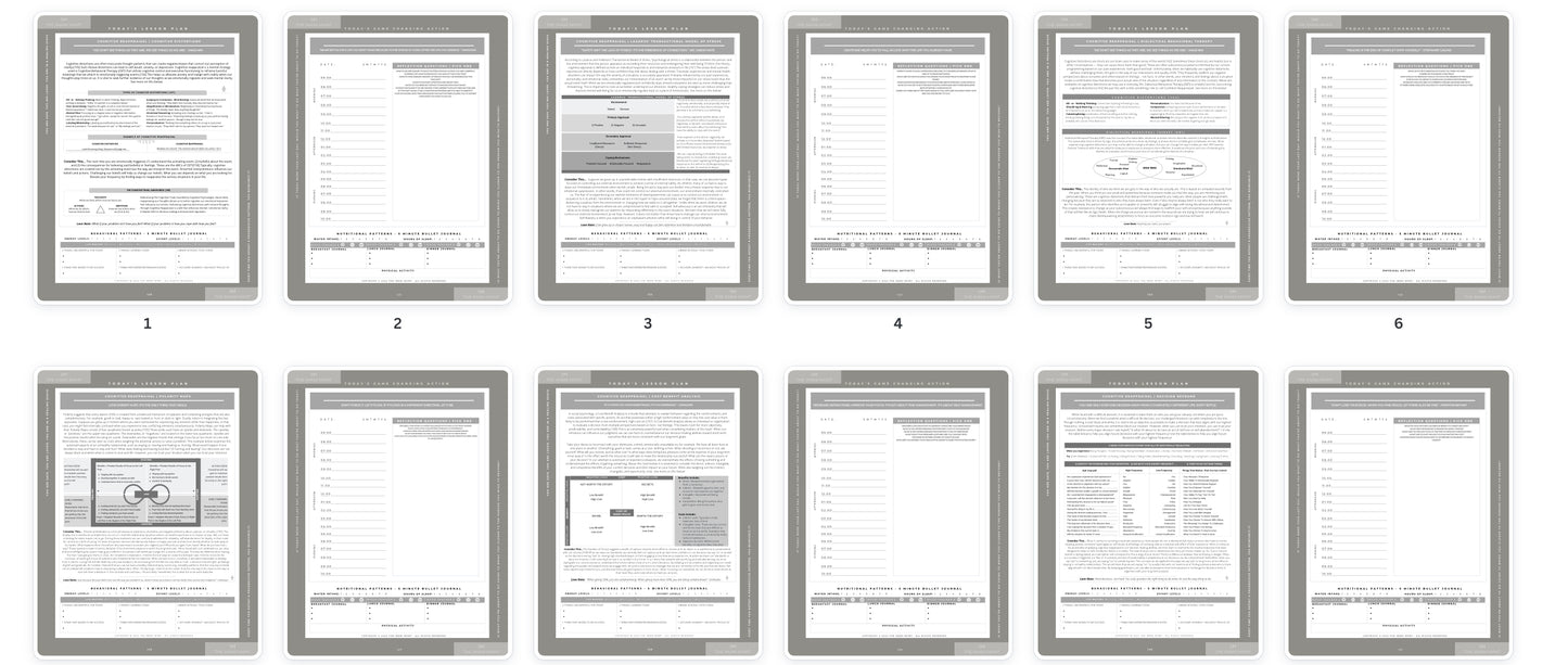 The RESILIENCE Planner